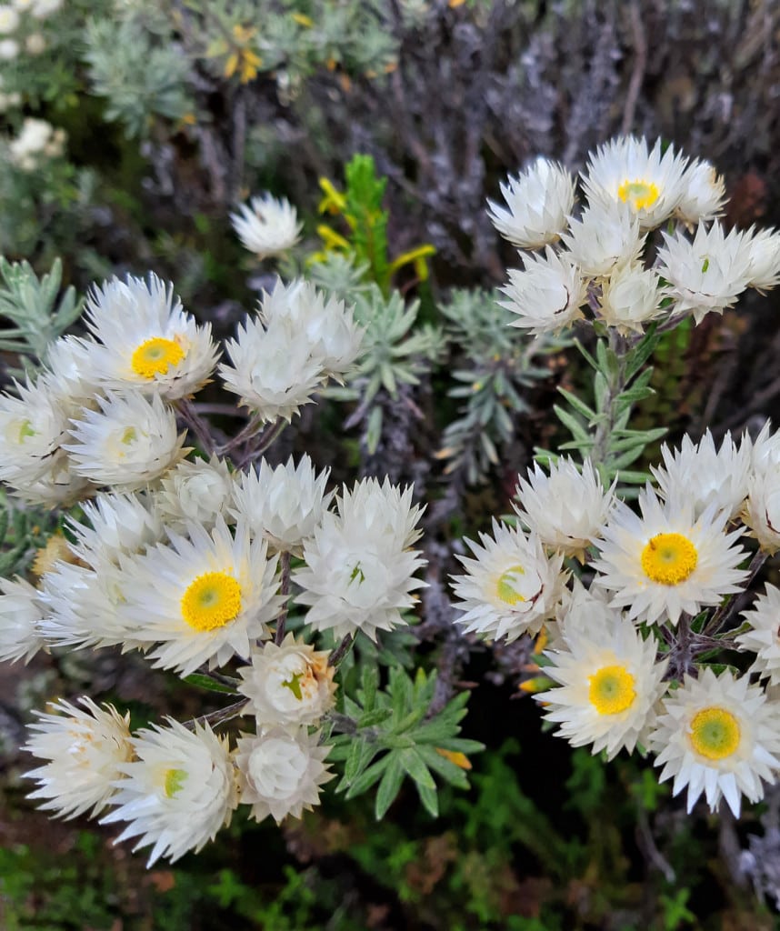 Tag 5 auf der Chogoria Route Mt Kenia