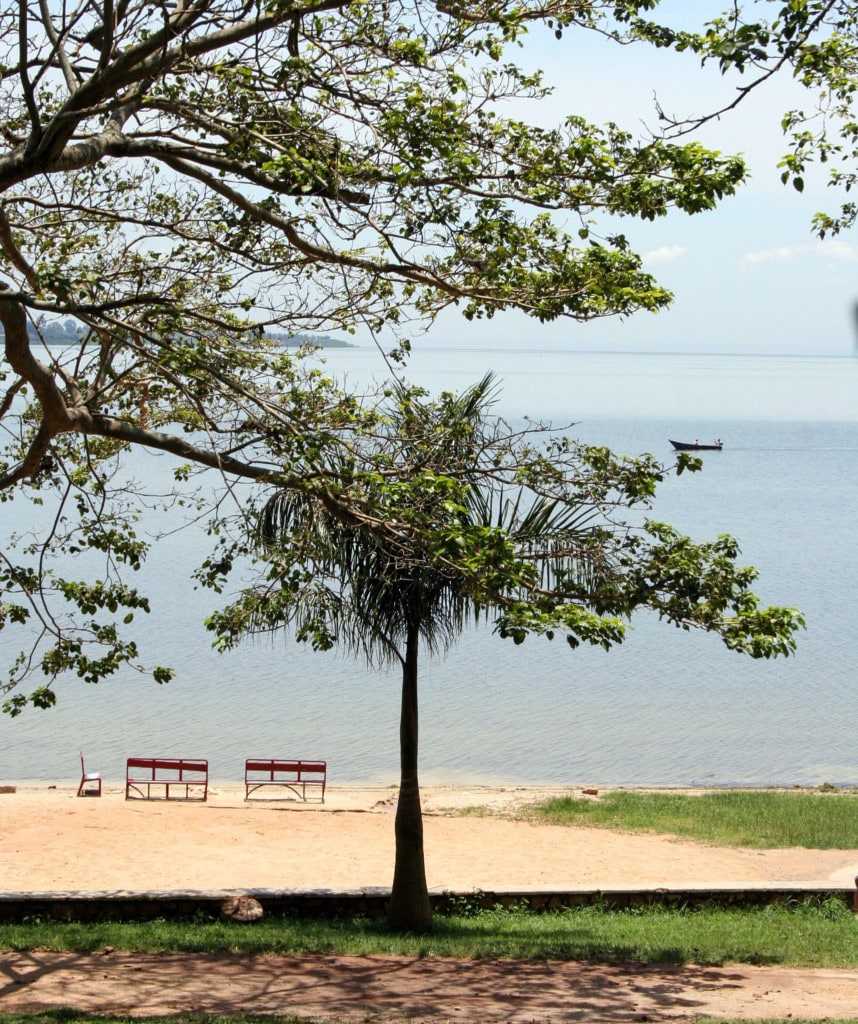 Ausblick auf den Lake Victoria Camping Safari Tansania und Kenia