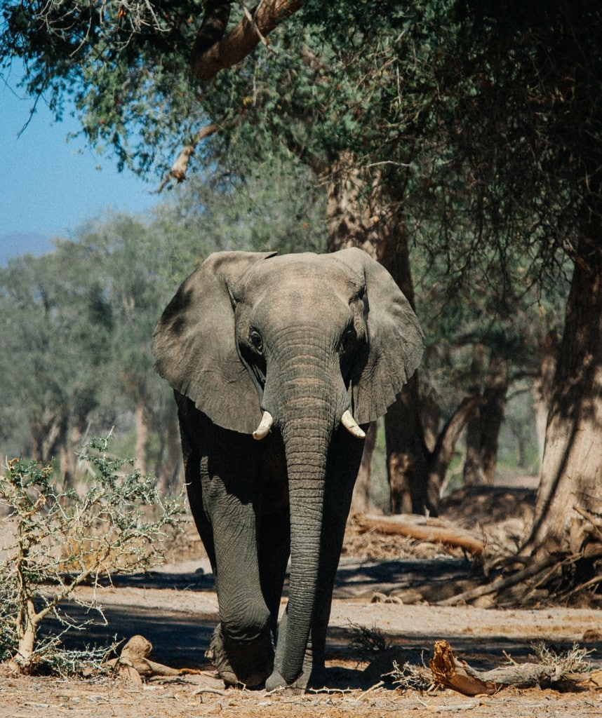 Highlights Namibia Familienreise Damaraland