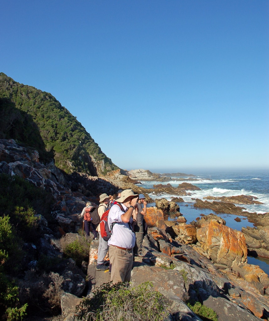 Highlights Reise von Johannesburg nach Kapstadt - Garden Route