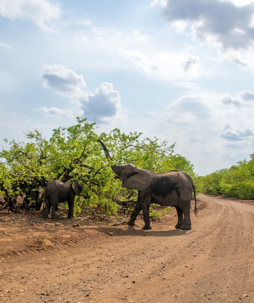 Highlights Rundreise Mosambik Krueger