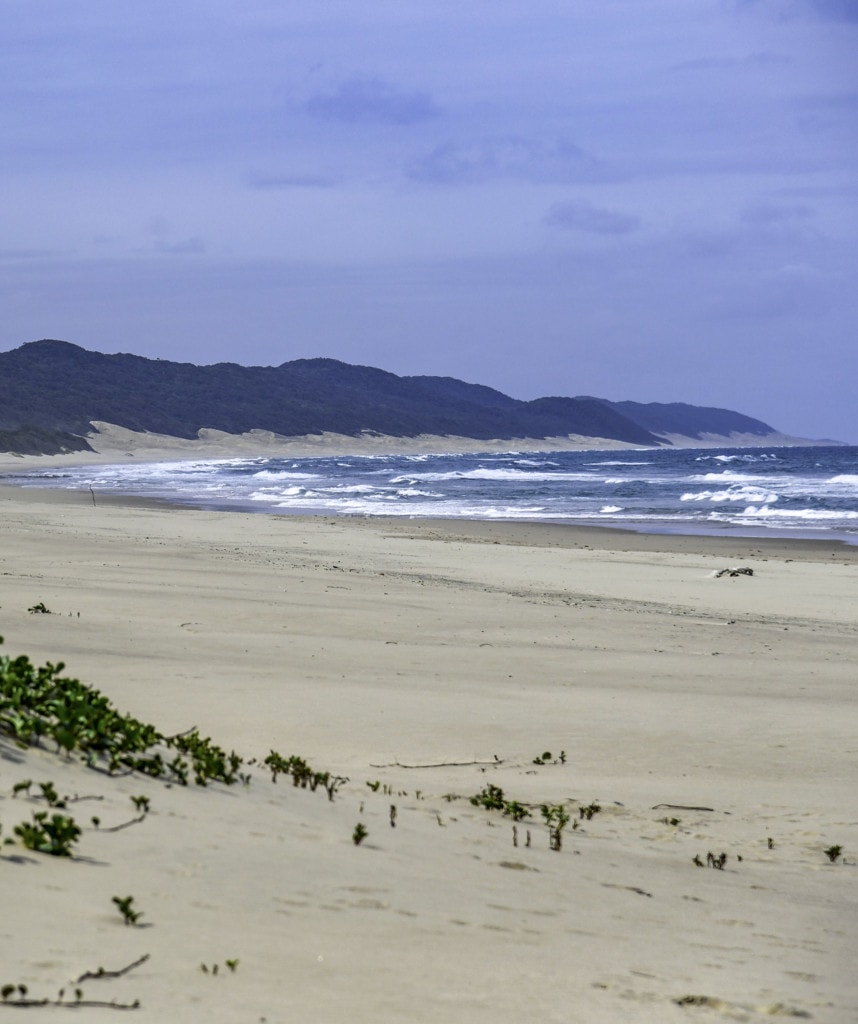 Safaris Südafrika Isimangaliso