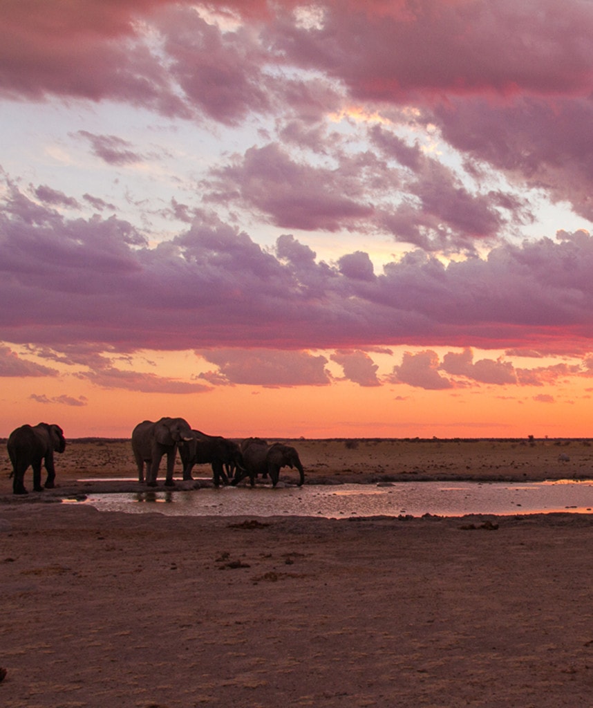 Sonnenuntergang in der Kalahari auf Mietwagenrundreise durch Botswana