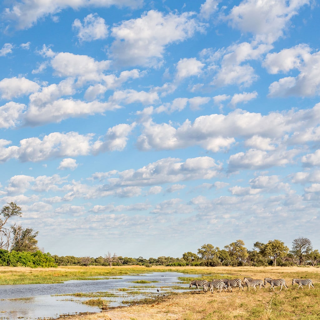 Campingreise durch die Khwai Concession in Botswana