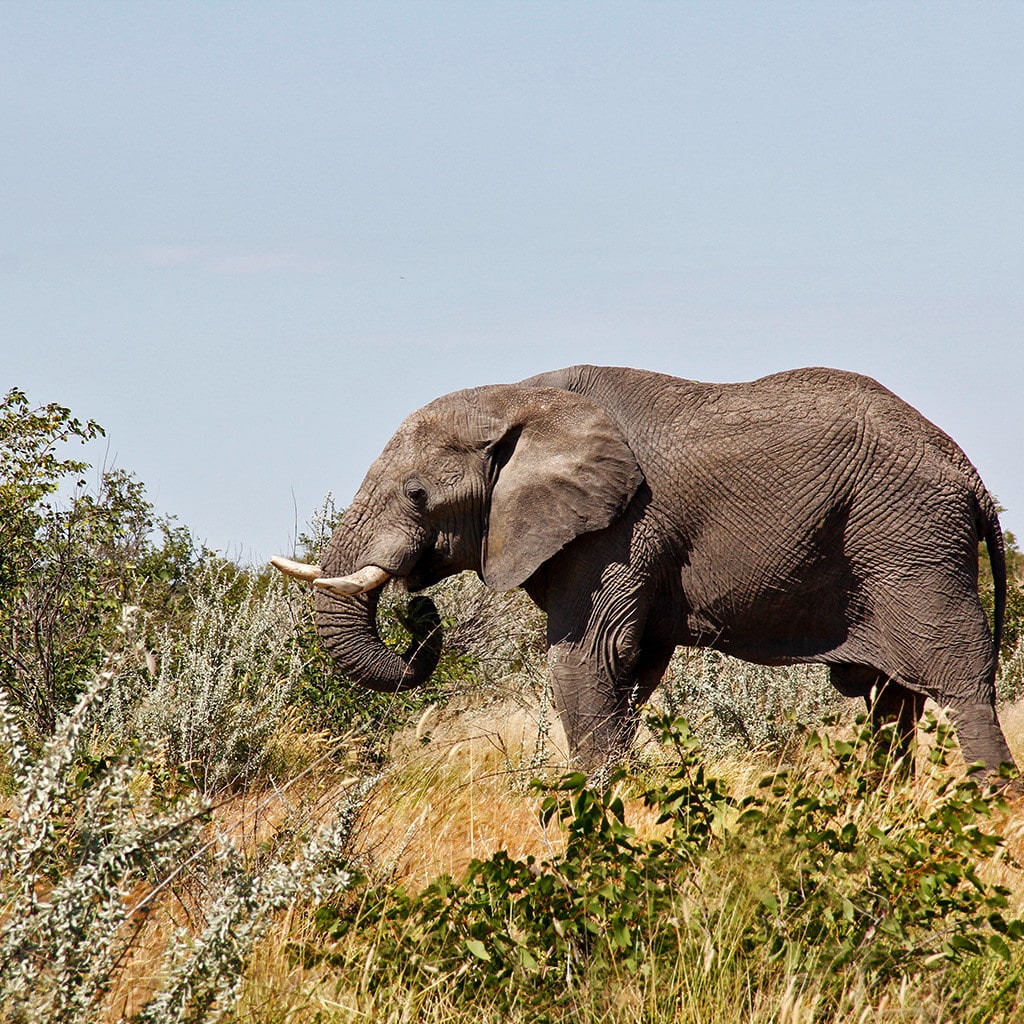 Namibia Gruppenreise Overland Camping