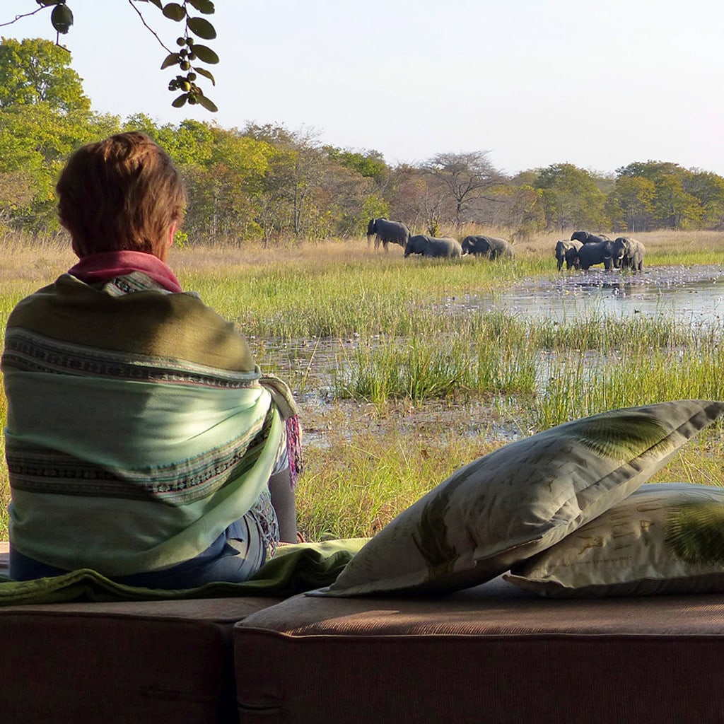 Gast des Nanzhila Plains Camp beobachtet Elefanten auf Sambia Safari