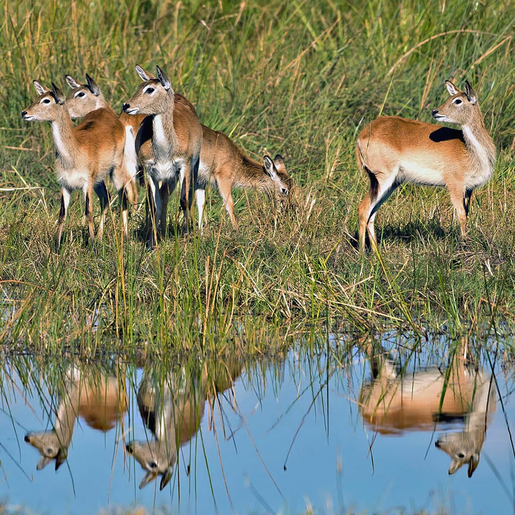 Reise Kapstadt Victoria Falls Gruppe