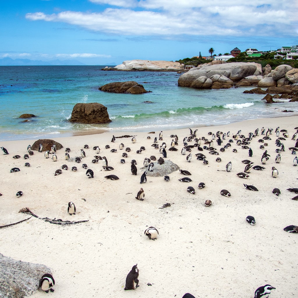 Reise von Johannesburg nach Kapstadt