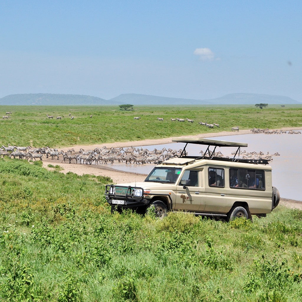 Safarifahrzeug auf Pirschfahrt während einer Camping Safari in Kenia und Tansania