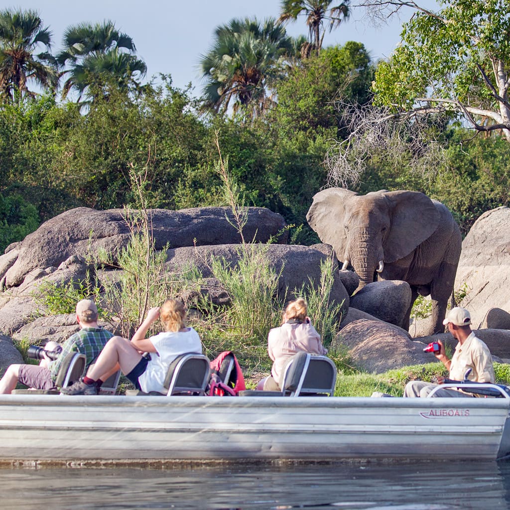 Bootstour auf Sambia Afrika Safari