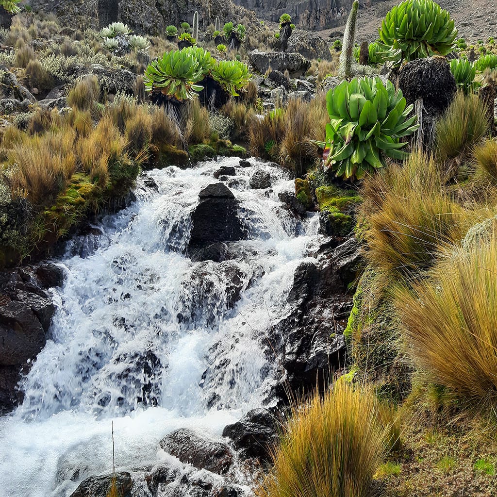 Wasserfall auf der Sirimon Route Mt Kenia