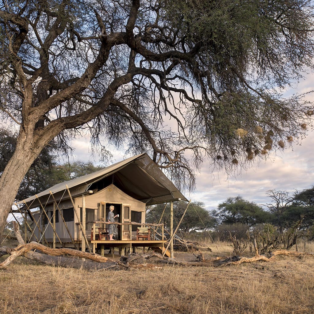 Somalisa Expeditions Camp Simbabwe Fly-In Safari