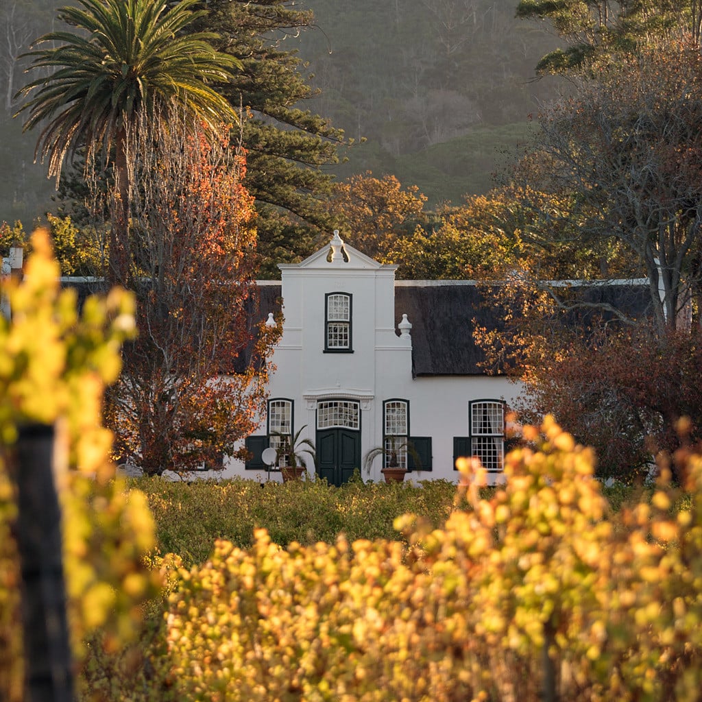 Private Reisen individuell Südafrika