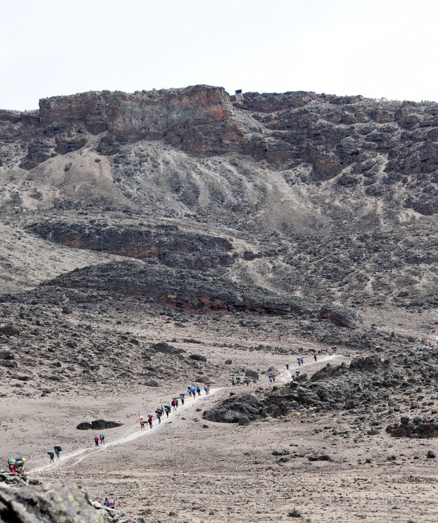 Tag 5 Lemosho Route Kilimanjaro