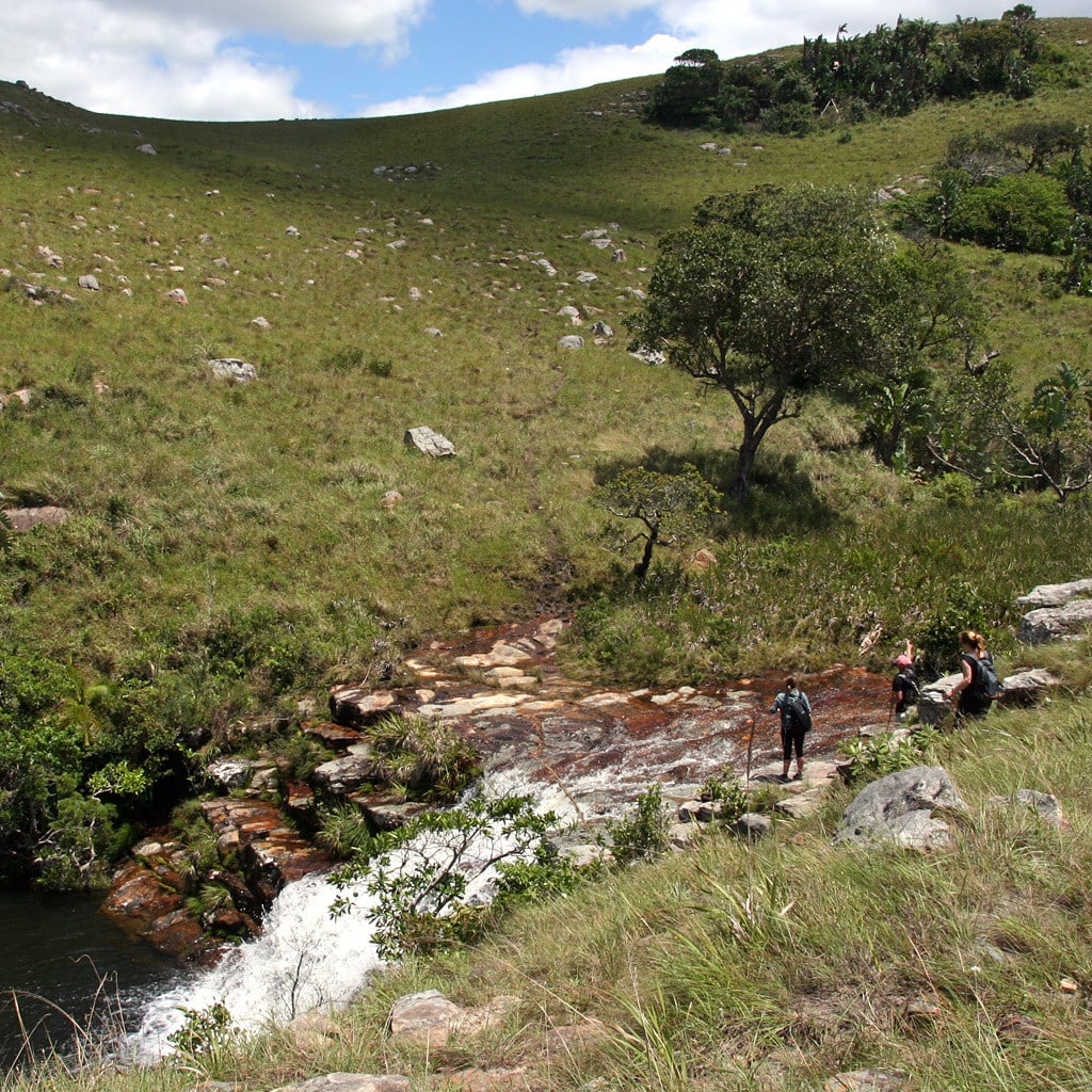 Grüne Landschaften auf Trekkingreise in Südafrika