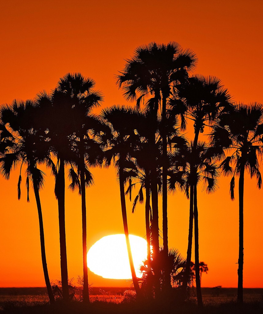 Botswana Reisen buchen Makgadikgadi