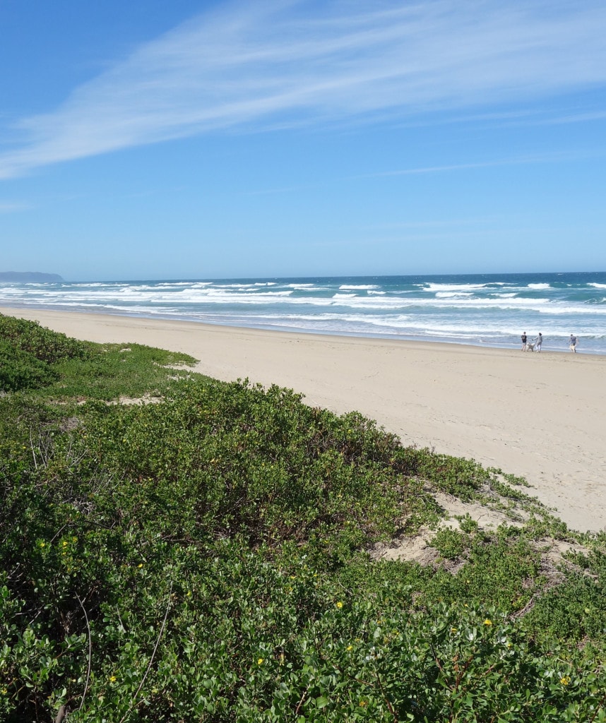 Safaris Südafrika Garden Route