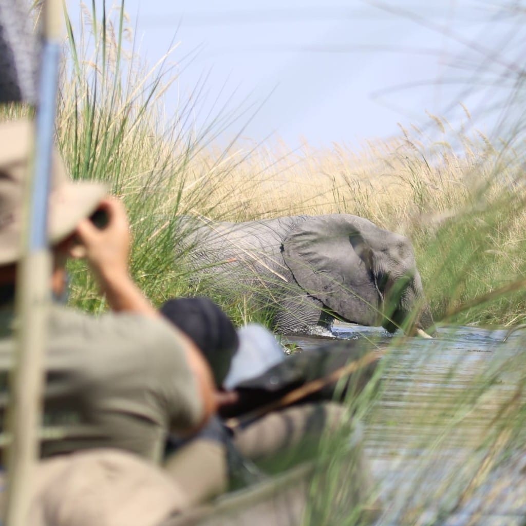 Rundreise Südafrika Namibia Botswana