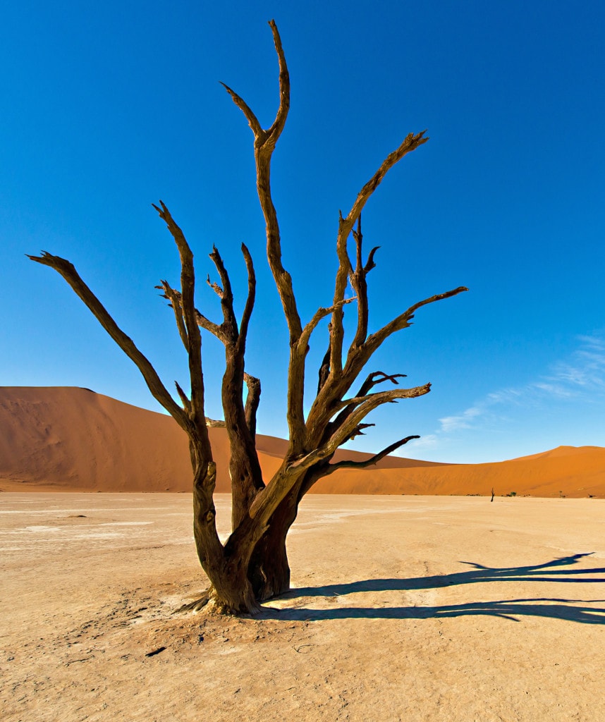 Viktoriafälle und Namibia Highlight Deadvlei