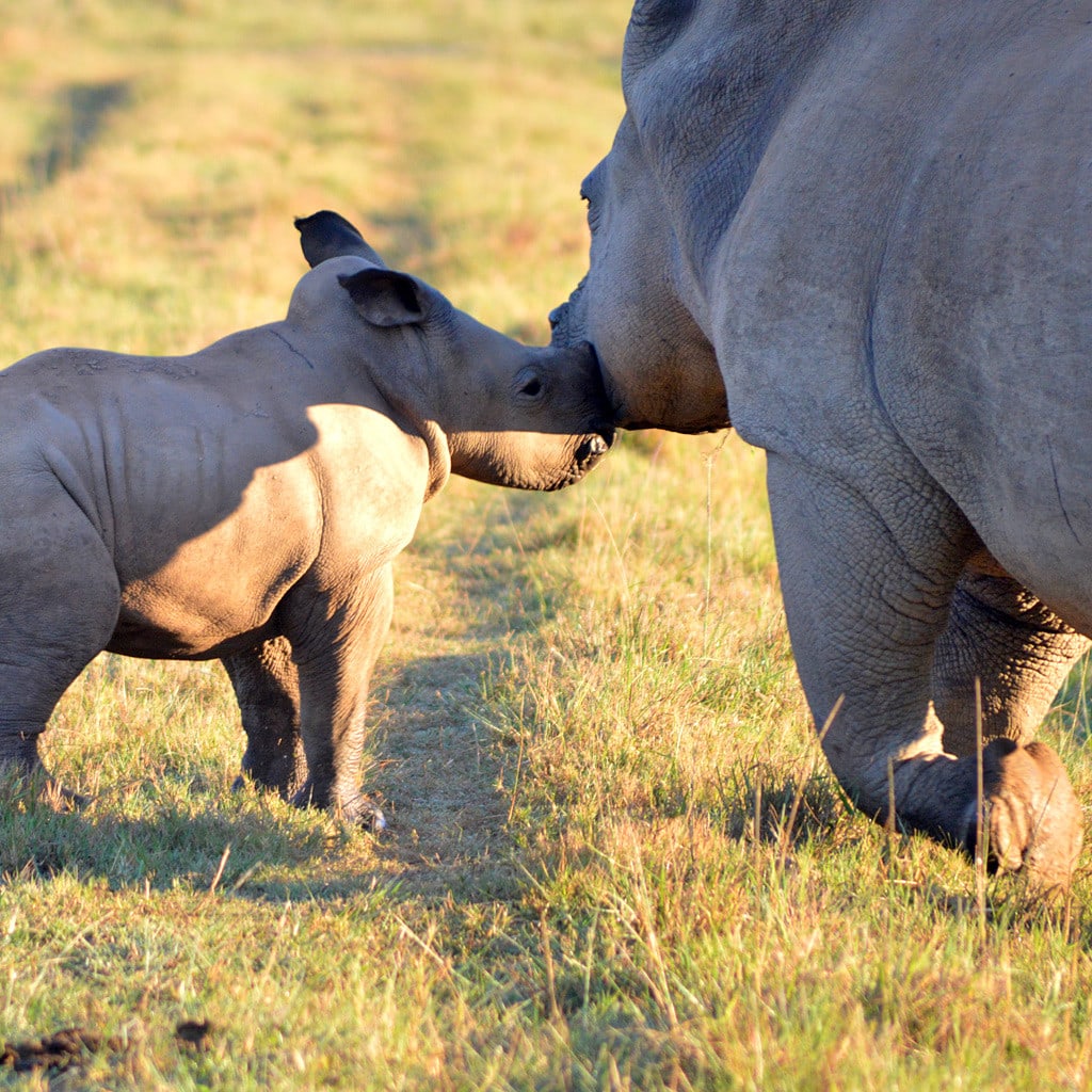 Kleingruppenreise Suedafrika Garden Route