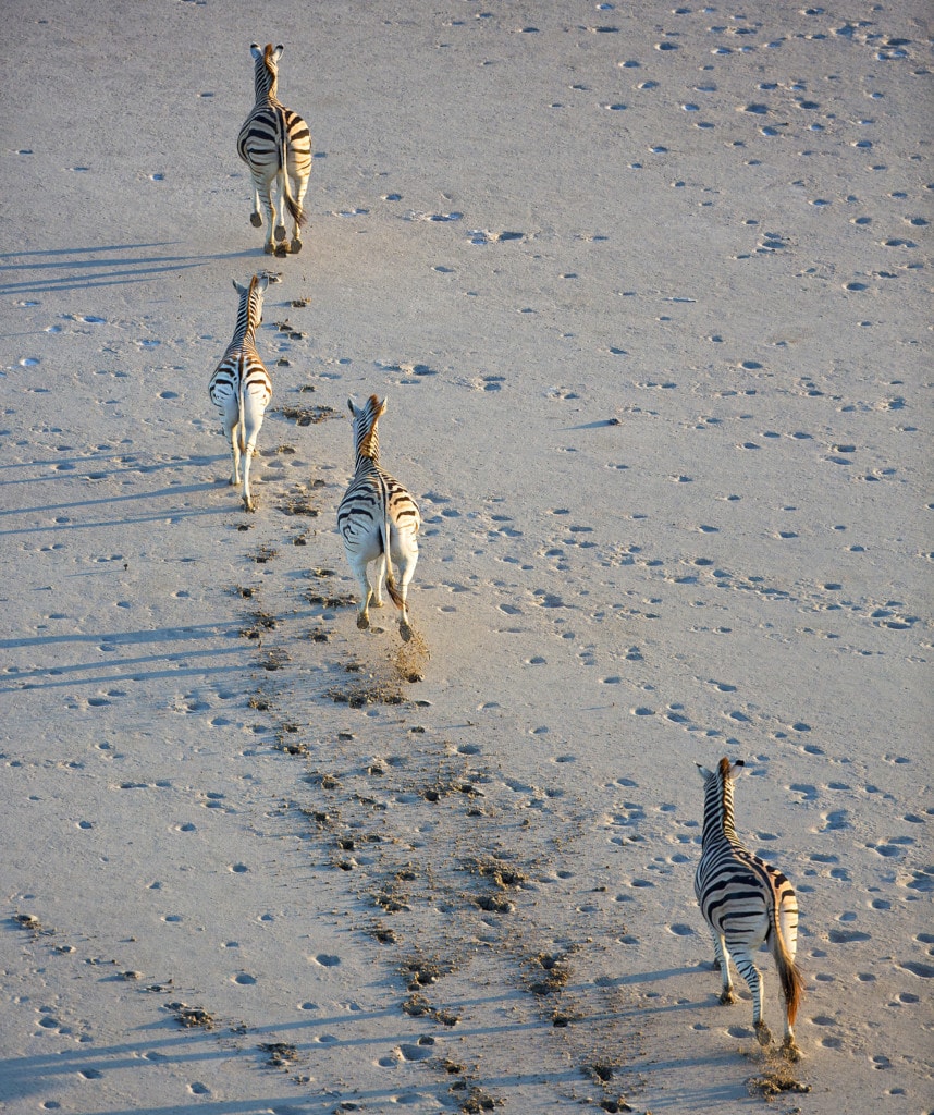 Makgadikgadi Pans auf Mietwagenrundreise in Botswana erkunden