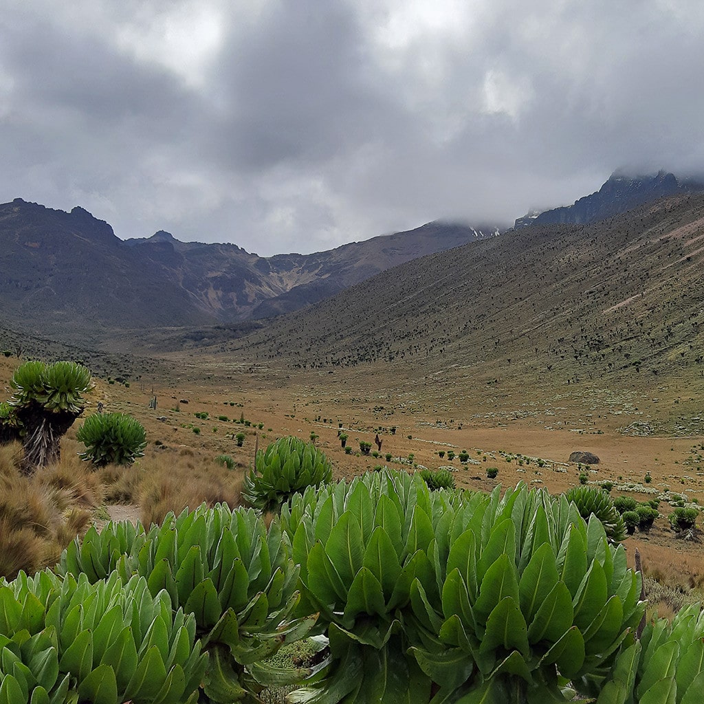 Das Mackinder's Valley auf dem Mount Kenya Sirmon Route