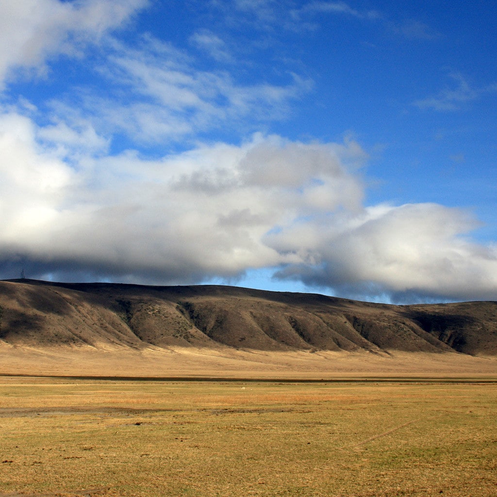 Ngorongoro Krater Kenia und Tansania Safari