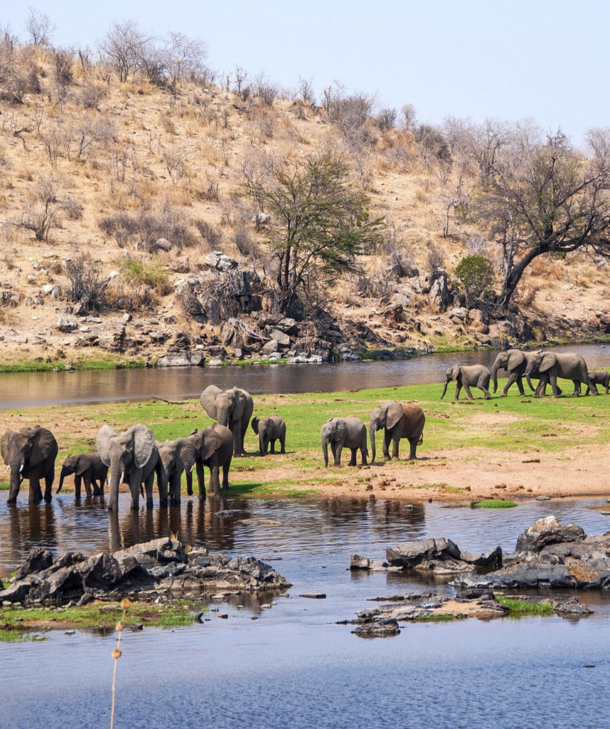 Tansania Safari Ruaha Nationalpark