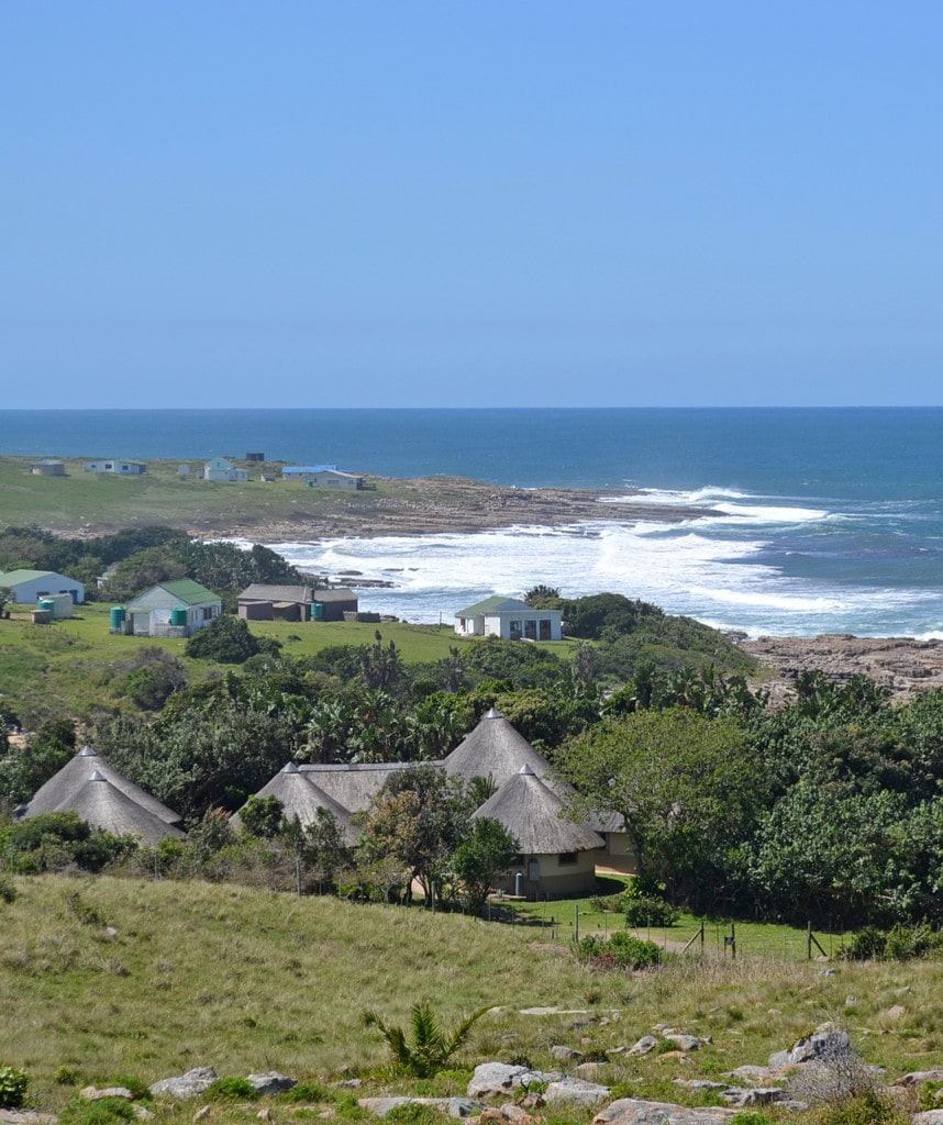 Safaris Südafrika Wild Coast