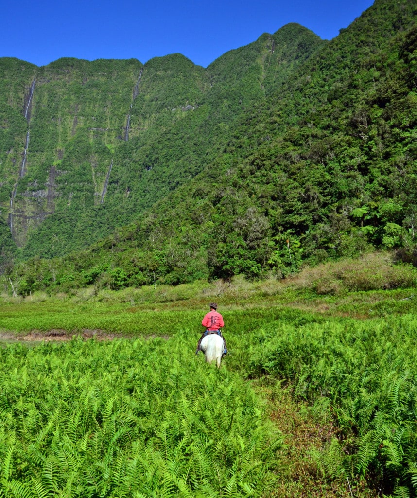 Aktivreisen La Réunion Highlights