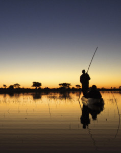 Botswana Safari Kleingruppe