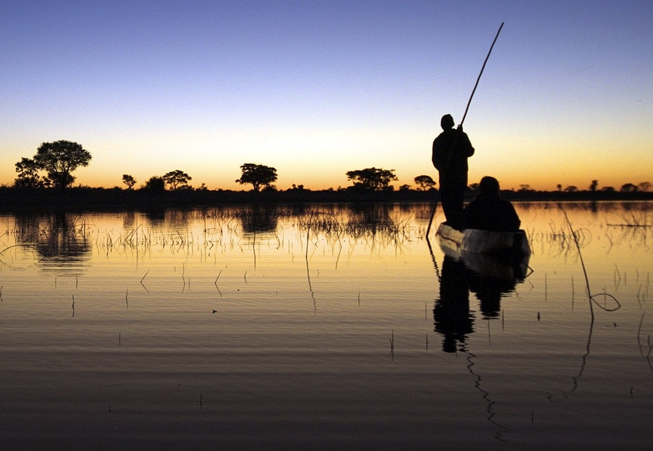 Botswana Safari Kleingruppe