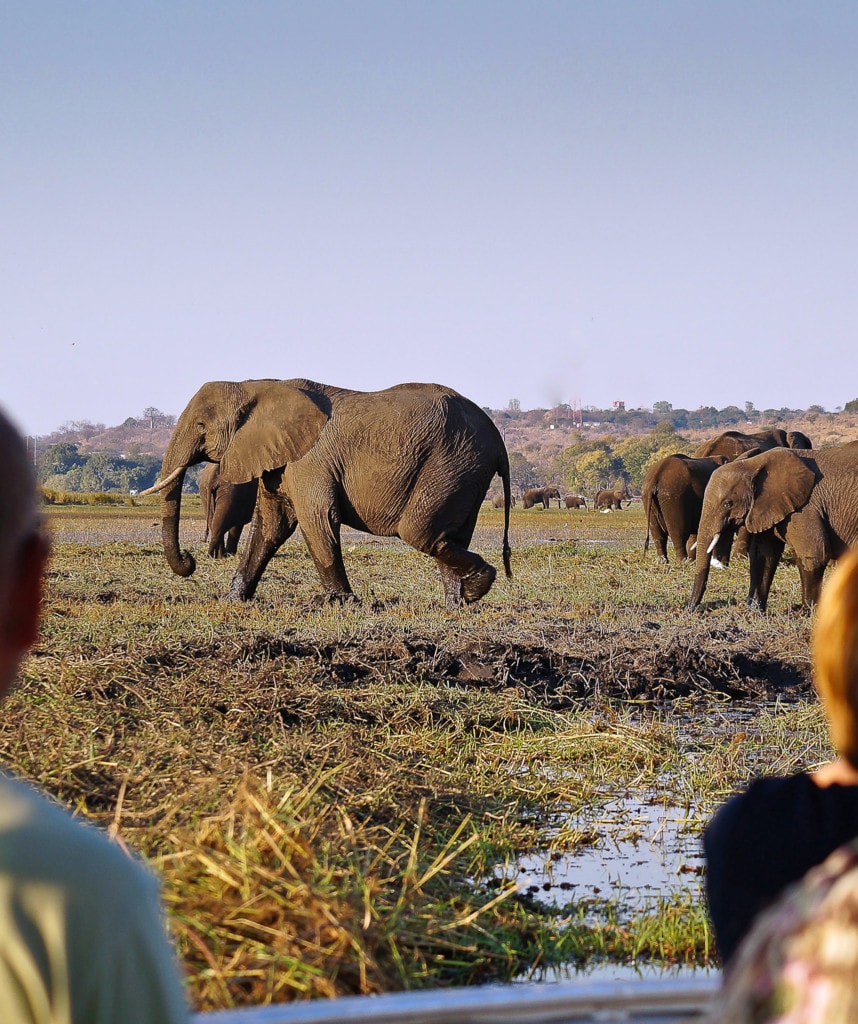 Gruppenreisen in Botswana Highlight Chobe Nationalpark