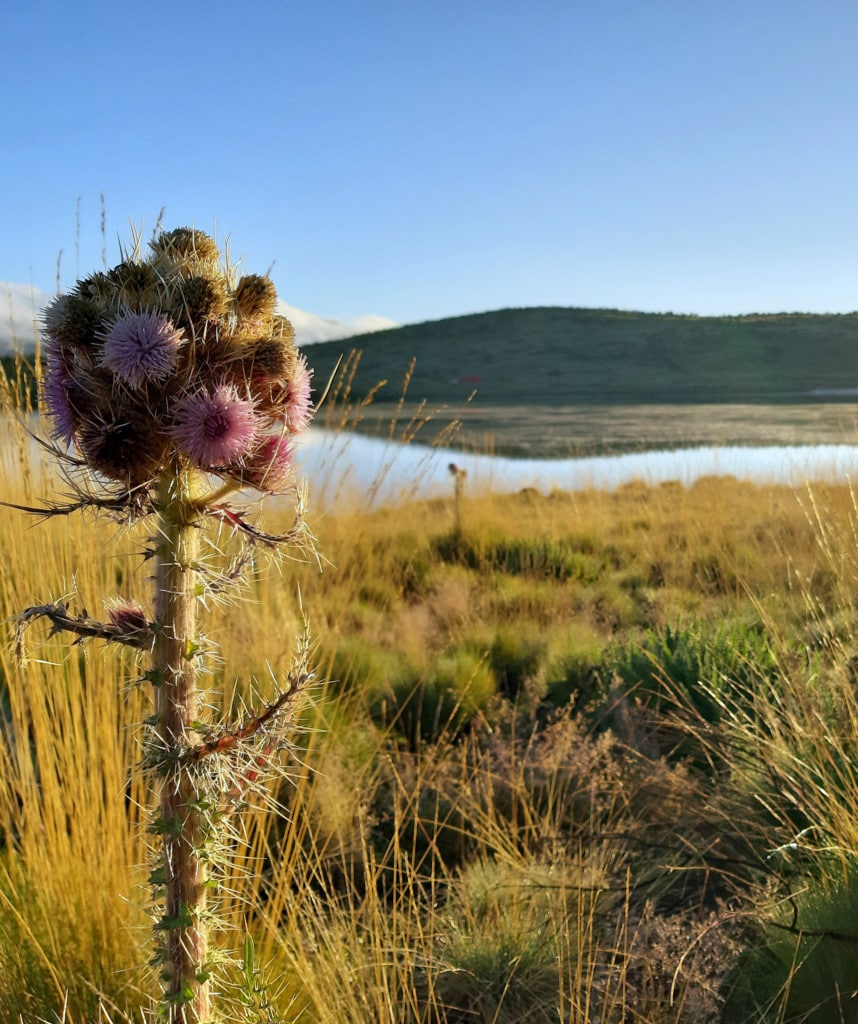 Mount Kenia Besteigung beliebte Routen Chogoria Route