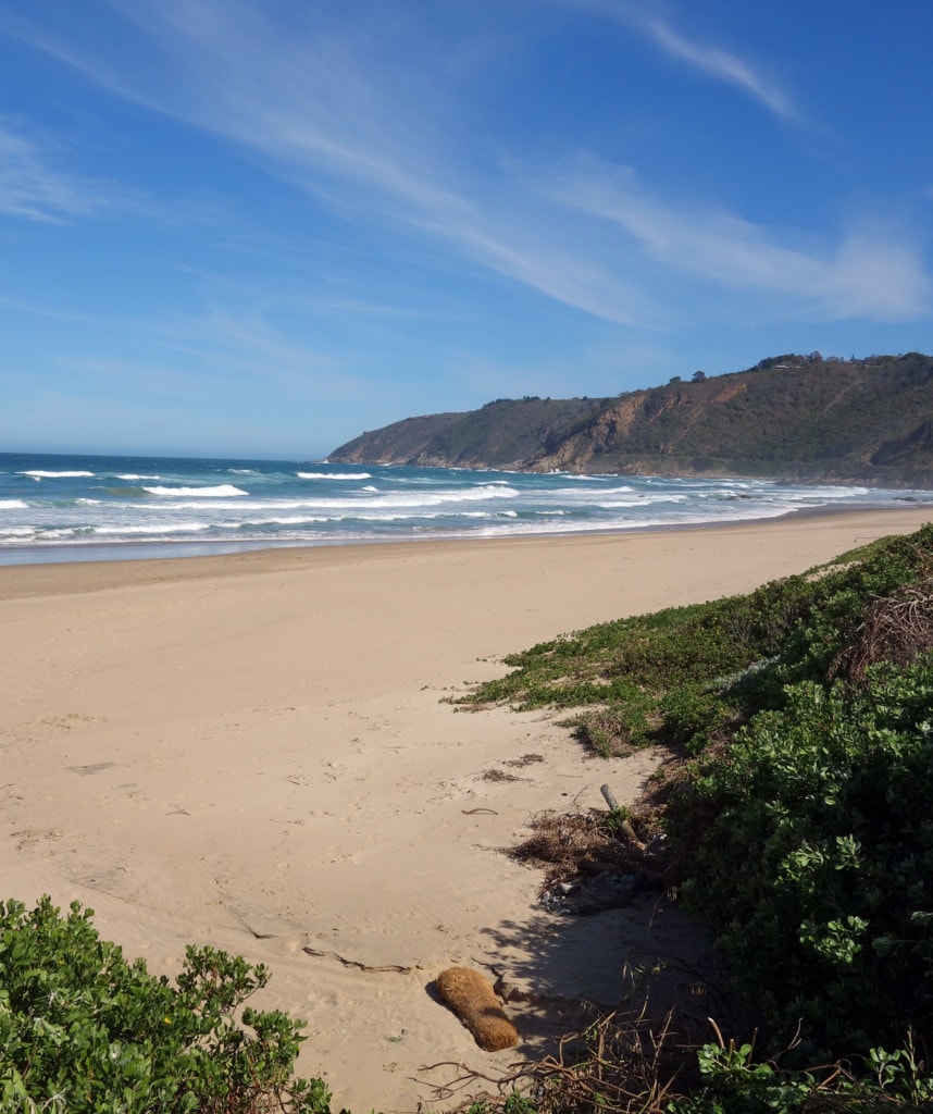 Die Garden Route in Südafrika ein Highlight auf Gruppenreisen