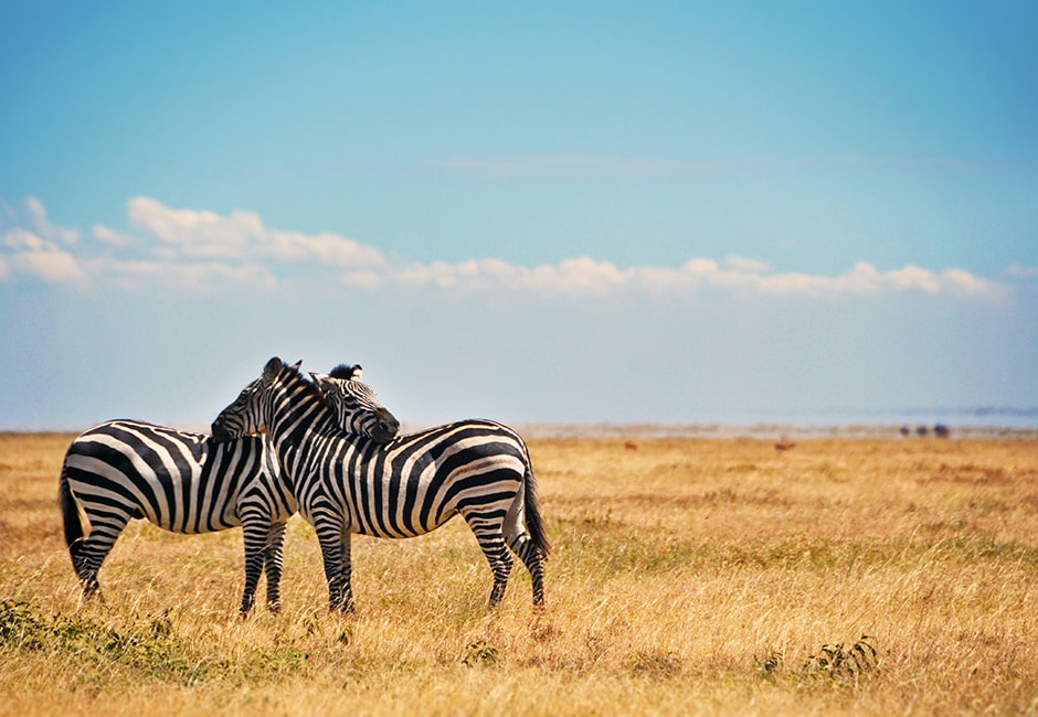 Gruppenreise Kenia Tansania