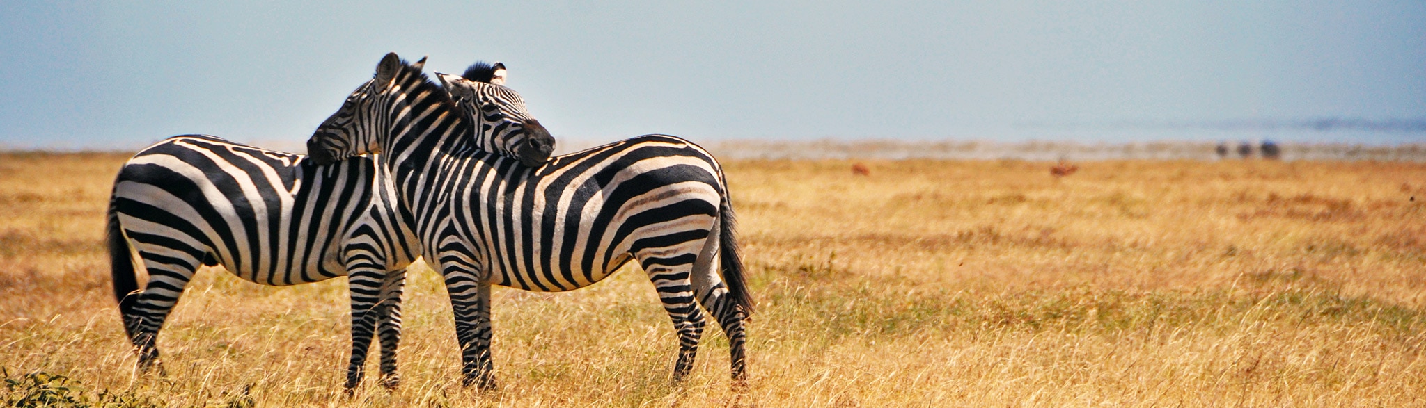 Gruppenreise Kenia Tansania