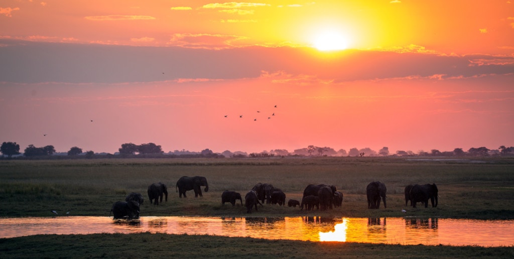 Gruppenreisen in Botswana