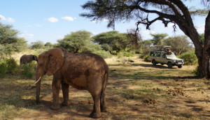 Reiseziele Gruppenreisen Kenia