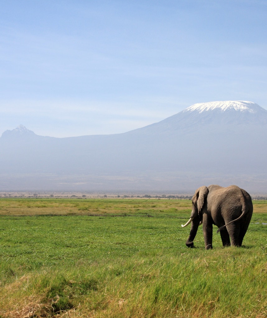 Gruppenreisen in Kenia Highlight Amboseli Nationalpark