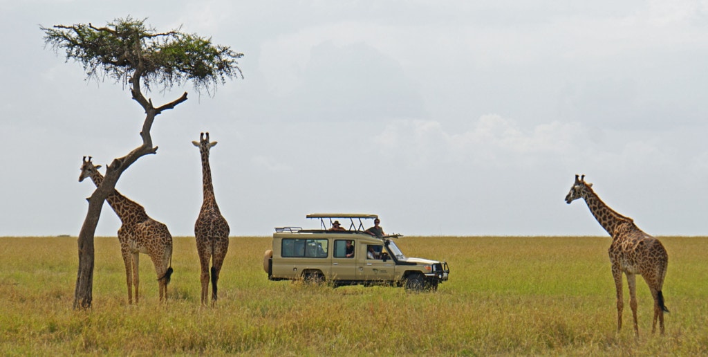 Gruppenreisen in Kenia