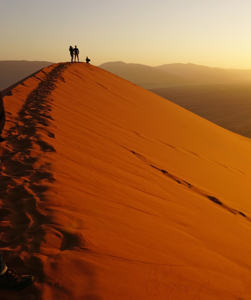 Gruppenreisen in Namibia Highlight Namib Wüste