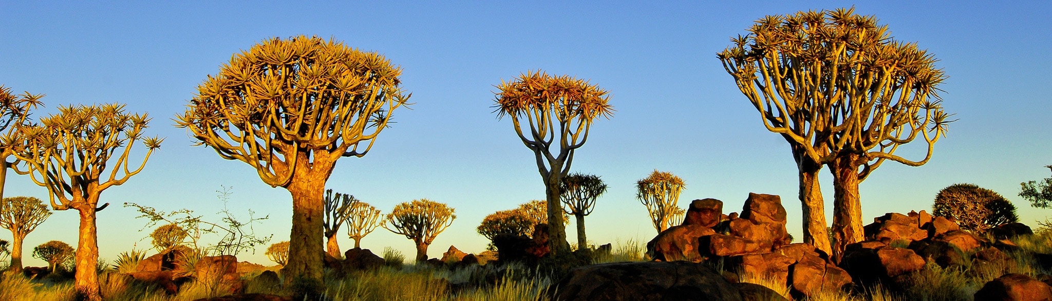 Gruppenreise Namibia Rundreise