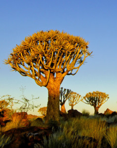 Gruppenreise Namibia Rundreise