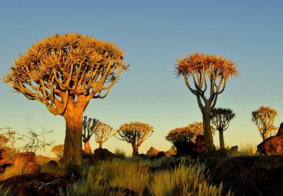 Gruppenreise Namibia Rundreise
