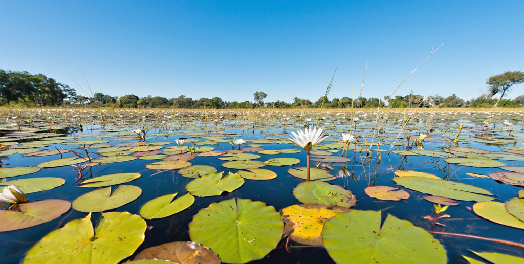 Botswana Selbstfahrer