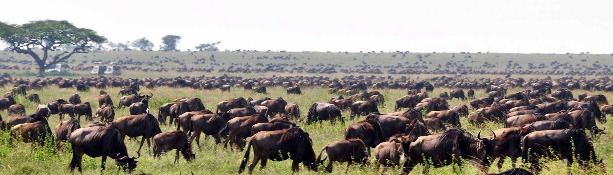 Camping Safari Kenia und Tansania