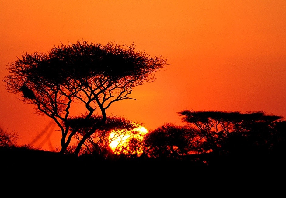 Sonnenuntergang auf 5-tägiger Tansania Safari