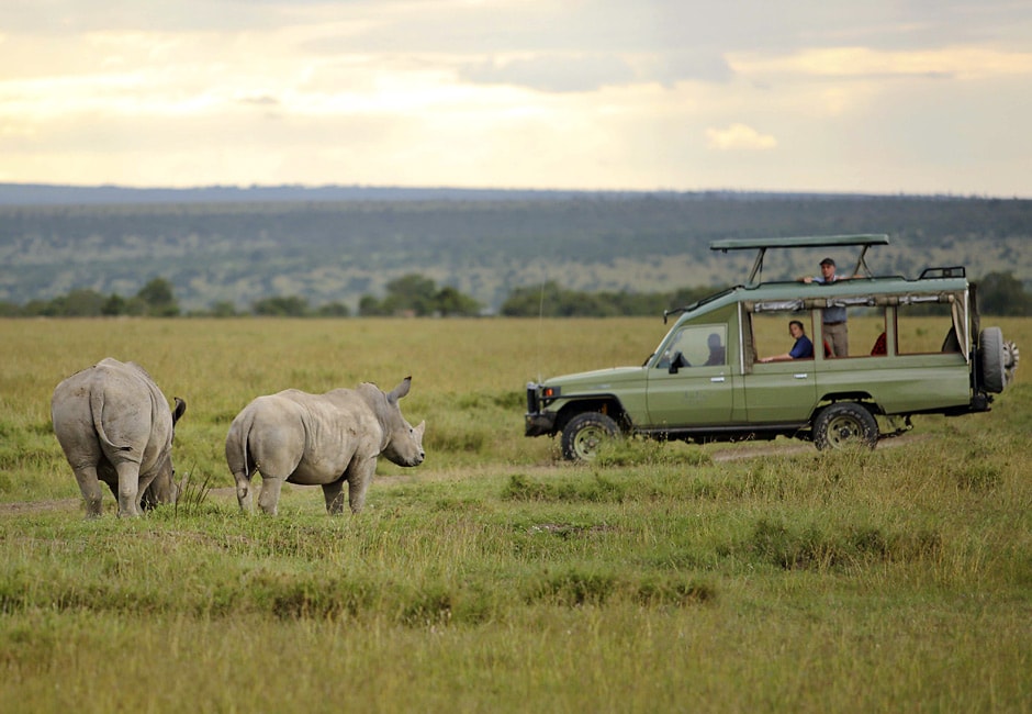 Fly-In Safari in Kenia