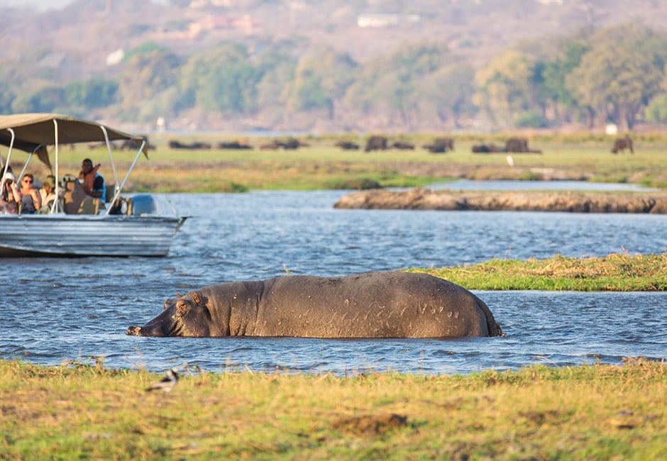 Kurzsafari Botswana Chobe